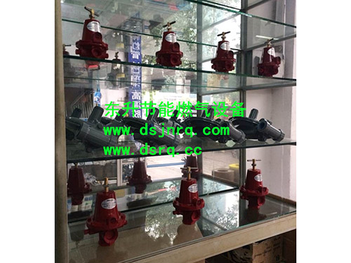 污软件免费下载污软件破解版永久免费版炉  燃气减压阀